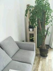 -星豆豆儿童摄影(南郊太白南路店)