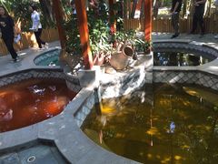 -碧水湾温泉