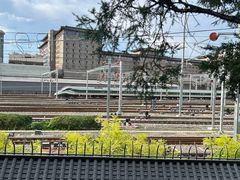 -莲花池公园