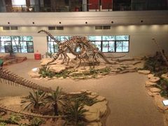 -自贡恐龙博物馆
