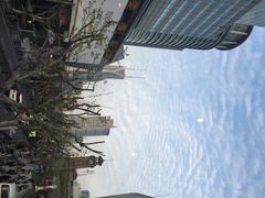 iphone_upload_pic-功德林(南京西路店)