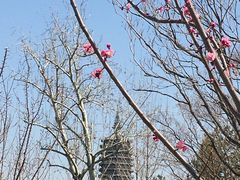 -西海子公园