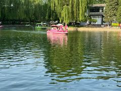 -团结湖公园