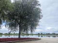 -哈尔滨音乐公园
