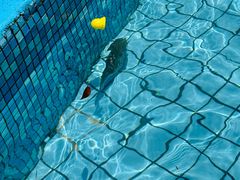 -清泉湾生态旅游度假区