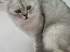 -昆山招商花园城