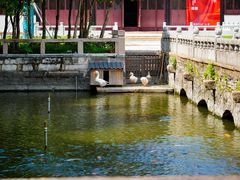 -苏州文庙(姑苏区)