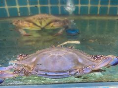 -面道赞宁海海鲜面(迎凤街店)