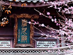 -韬光茶庵