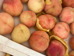 -南汇水蜜桃采摘(大团店)