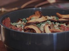 -Hi City·城市之巅