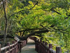 -广州市石门国家森林公园