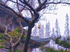 -龙华寺
