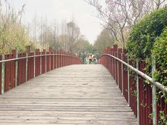 -南翔镇银翔湖公园