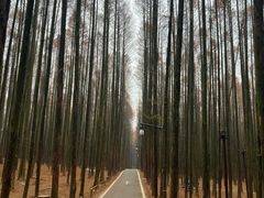 -山王坪喀斯特国家生态公园