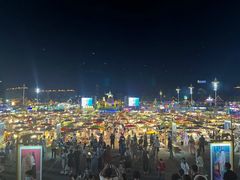 -西双版纳原始森林公园