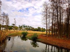 -五缘湾湿地公园