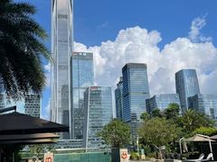 -深圳星河丽思卡尔顿酒店