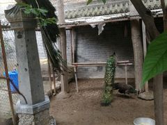 -罔极寺
