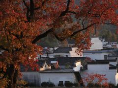 -塔川景区