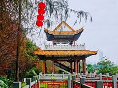 -东山湖公园