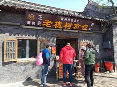 门面-老槐树煎包