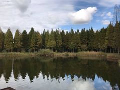 -黄海国家森林公园