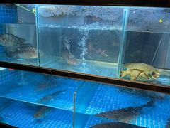 -客汁源味·客家菜(时代城店)