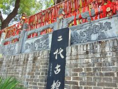 -大槐树寻根祭祖园