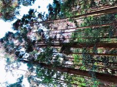 -雁荡山风景名胜区-小龙湫