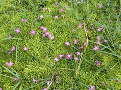 -汉长安城未央宫国家考古遗址公园