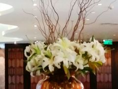 -上海会馆(香港名都店)