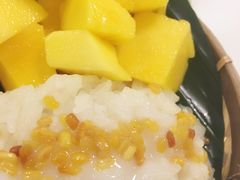 -GOGO Plate(成都太古里店)