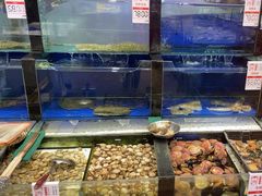 -添福来墨鱼饺子 · 海鲜东北菜(泡崖店)