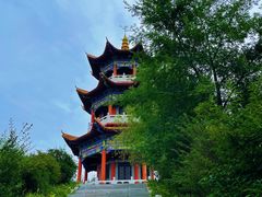 -绥化市森林植物园
