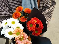 -三圣花乡旅游区