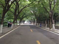 八大关景区-八大关景区