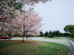 -石湖景区