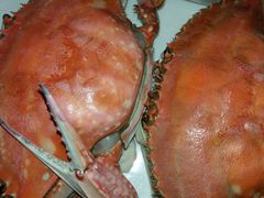 -北塘海鲜·天津菜(大光明桥旗舰店)