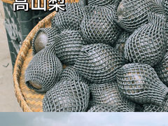 -海窝子古镇
