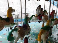 -泉州海丝野生动物世界