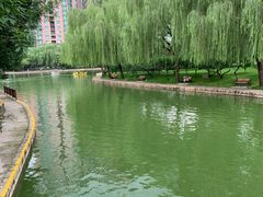 -团结湖公园