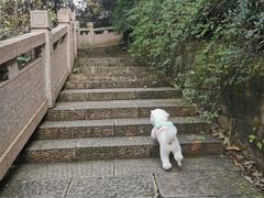 -杭州半山国家森林公园