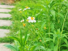 -琅岐红光湖公园