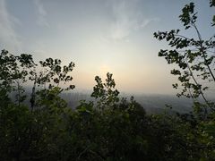 -杭州半山国家森林公园