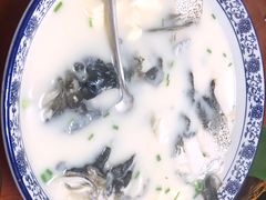 -全乐鱼馆·淳牌有机鱼直营店