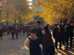 -辽宁大学(崇山校区)