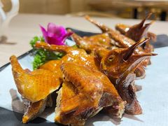 红烧乳鸽-石头咕(葵蓬店)