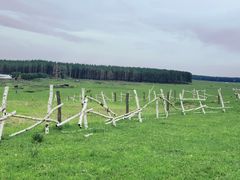 -塞罕坝国家级自然保护区