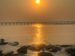 -宝安西湾红树林湿地公园